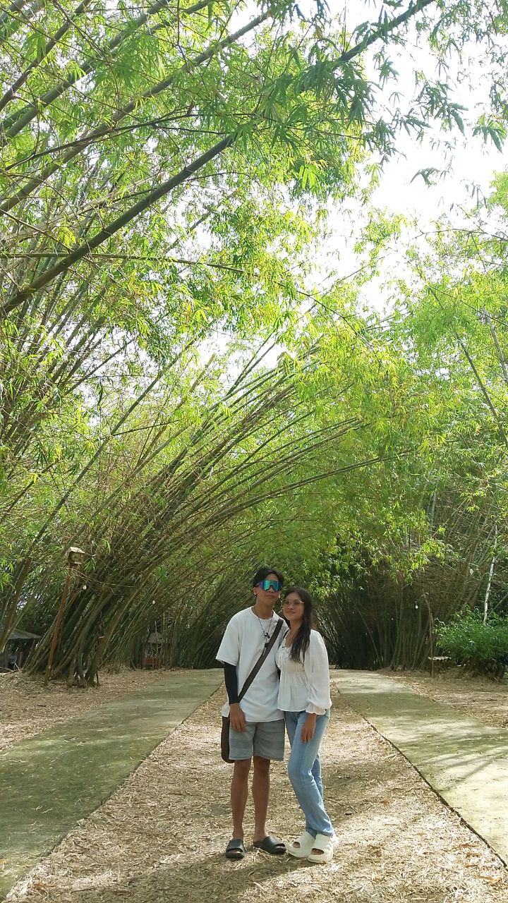 Bamboo 16